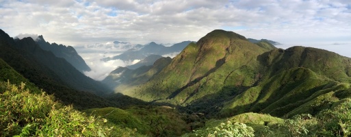 We started the year in Vietnam, by hiking to the top of Mt Fansipan near Sapa