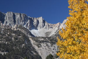 Third Pillar of Dana with some fall color for foreground