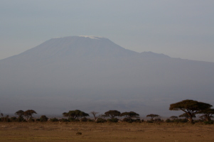 Kilimanjaro in the morning