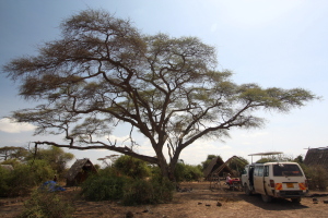 Campsite in Amboseli