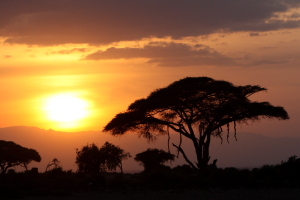 Sunset in Amboseli