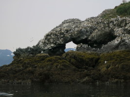 Gull Island