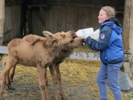 This girl has a pretty cool job, huh?