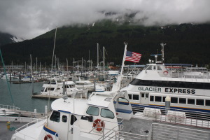 We took a cruise the next day to the Kenai fjords