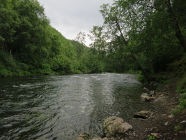 Fishing at the Russian River