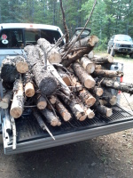 Think that's enough wood? Having fun, redneck style in the Ghost!