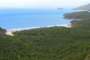 View from Nina Peak: rainforest meets the beach