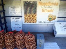 These macadamia nuts were very tasty!