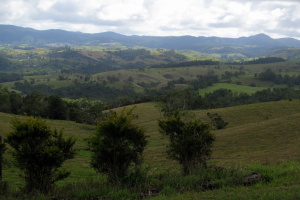 The Atherton Tablelands were probably the most beautiful part of our drive!