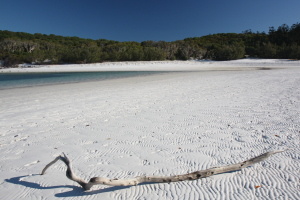 Generally, tides provide interesting sand patterns