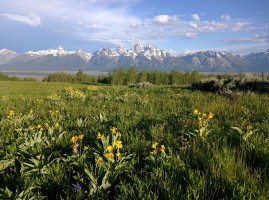 Waking up with a nice view of the Tetons