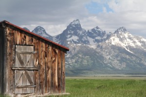 Gorgeous old barns around Jackson