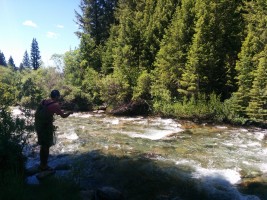 Fishing a small creek near Ketchum