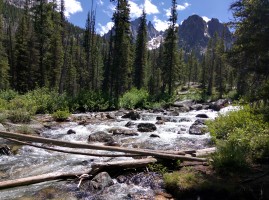 The creek crossing towards the perch