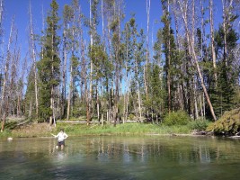 Melissa fly fishing near Redfish Lake