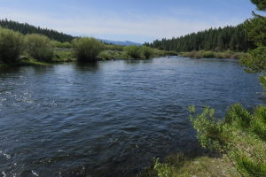 The Little Truckee river - such a beautiful place!