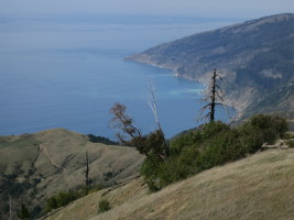 Big Sur is beautiful