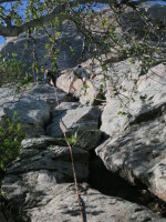 Ben and I starting on neighbouring routes at Bishop Peak