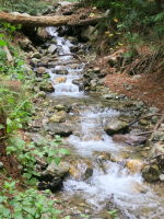 We then did a 5-mile loop through the redwoods