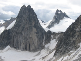 Snowpatch (left) and Pigeon (right)