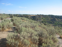 Idaho Falls