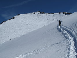 Skinning up the last section