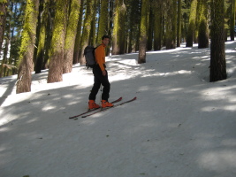 me skinning up through the beautiful forest