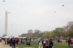 Kite festival on Saturday. Weather was gloomy unfortunately, but a bazillion kites in the sky!