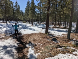 A few dry weeks let to some desperate conditions at the XC center (actually this was a closed trail, they did a great job moving snow elsewhere)