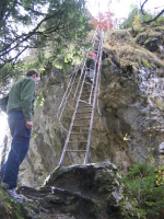 scary iron ladder