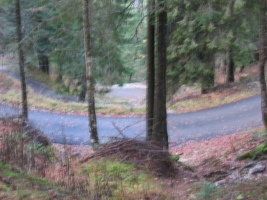 the light was bad... but we could see 5 switchbacks down