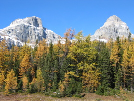 Eiffel (left) and Pinnacle (right)