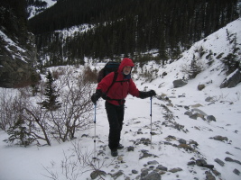 Hedd-wyn hiking up the fork in the creek