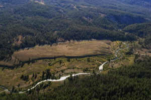 The Little Truckee river, holds amazing fly fishing :)