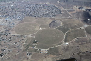 Crop circles near Minden