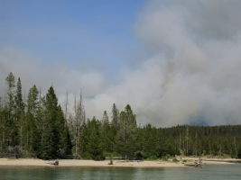 And then a fire started, less than a mile from us! Instead of the boat ride, we were soon evacuated :(