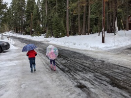 Rainy day walks