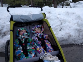 The day before we left Truckee, the kiddos are bundled in the chariot :)
