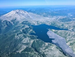 The dead trees from the eruption, taking up a significant chunk of the lake!