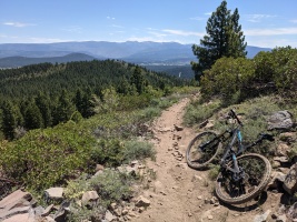 Lots of laps on this local trail