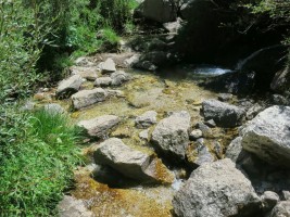 North fork of Lone Pine Creek provides lots of water