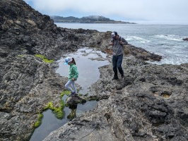 Ft Bragg tide pooling