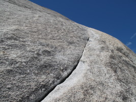 A sweet crack amidst a sea of granite