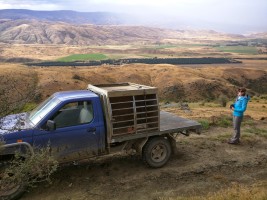 Great view of most of the farm