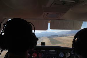 Landing on the grass!