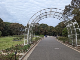 Morning run in Tokyo