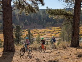 Fall colors in the background on the Emigrant Trail