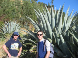 me and chester with a big plant