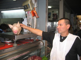 he was very proud to show us his pig. (photo by marta)