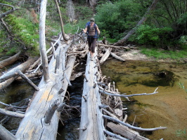 You used to have to cross the creek by wading in a nasty swamp. Now there's a nice trail and these logs!